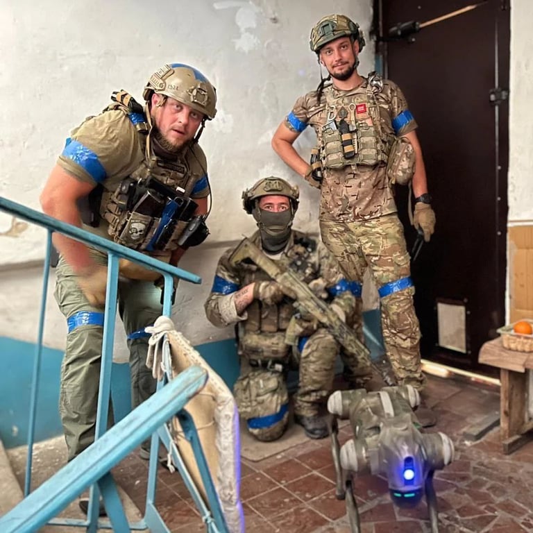 собаки работы в Торецке