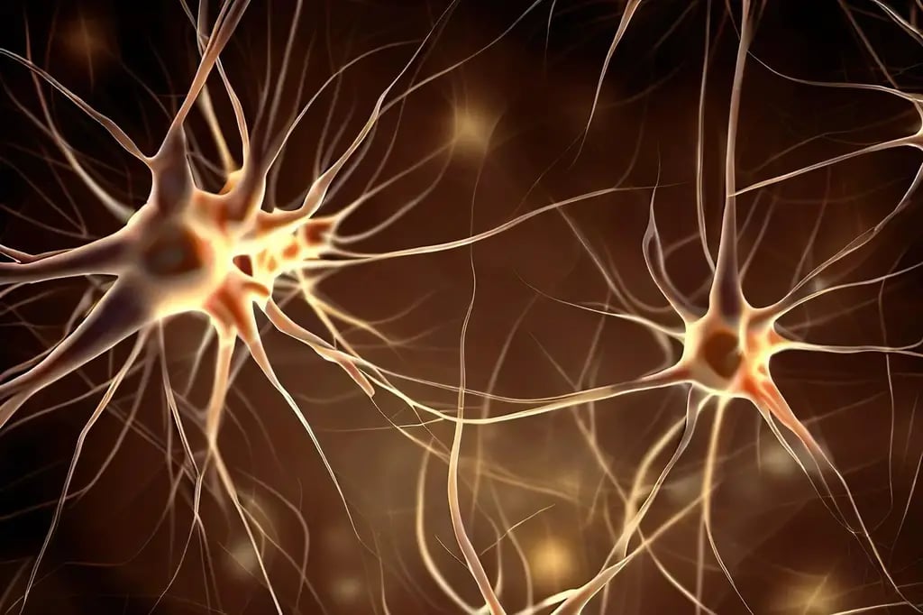 Нейрони мозку можна відтворювати за допомогою клітин-трансформерів — деталі