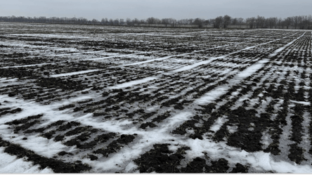 На Одещині весняна посівна стартувала пізніше ніж зазвичай - 285x160