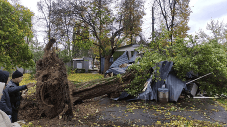 Ураган в Киеве — обновленные данные о последствиях непогоды - 285x160