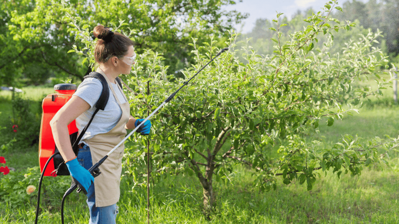 Як захистити дерева від гризунів — ефективні поради дачникам