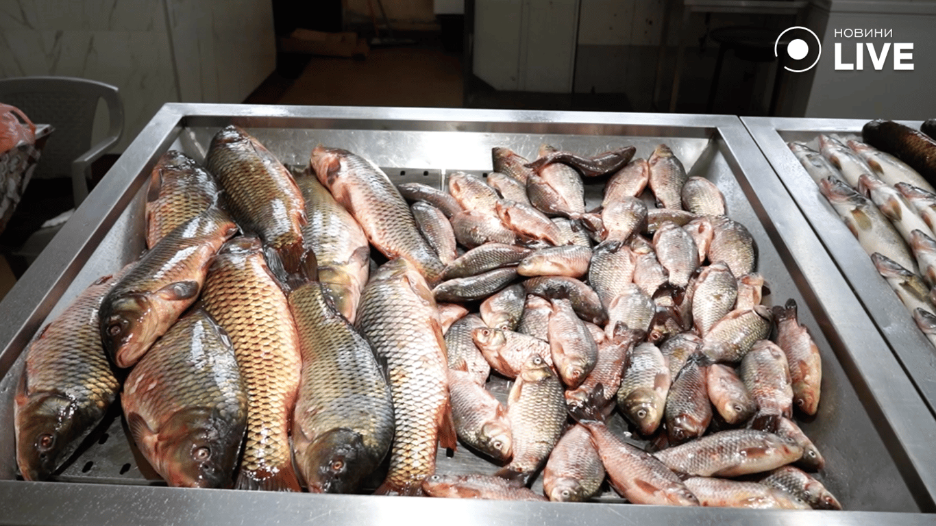 Прилавок з рибою