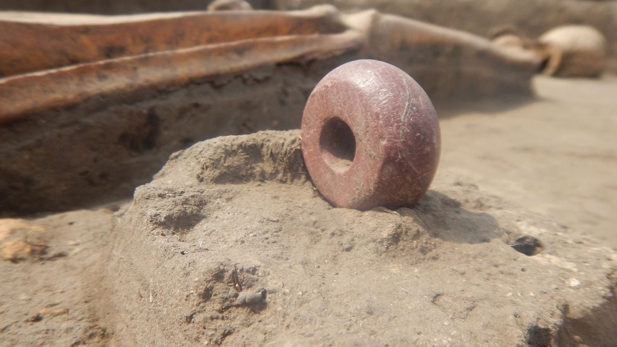 Під Києвом знайдено стародавнє поховання, скелети виглядають дуже дивно