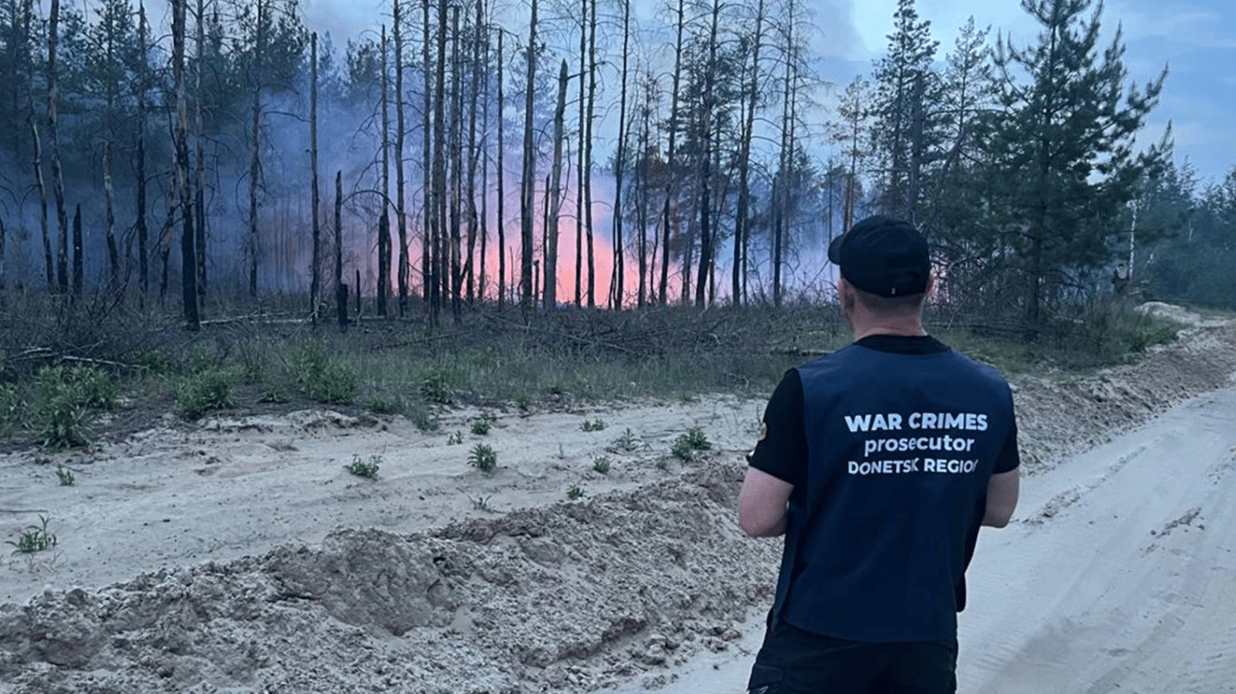 Российские войска подожгли лес в Донецкой области