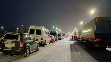 На границе с Румынией заблокировано движение грузовиков — в чем причина - 285x160