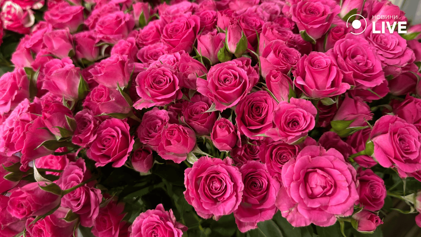 День закоханих наближається – як змінилася ціна на квіти в Одесі - фото 6