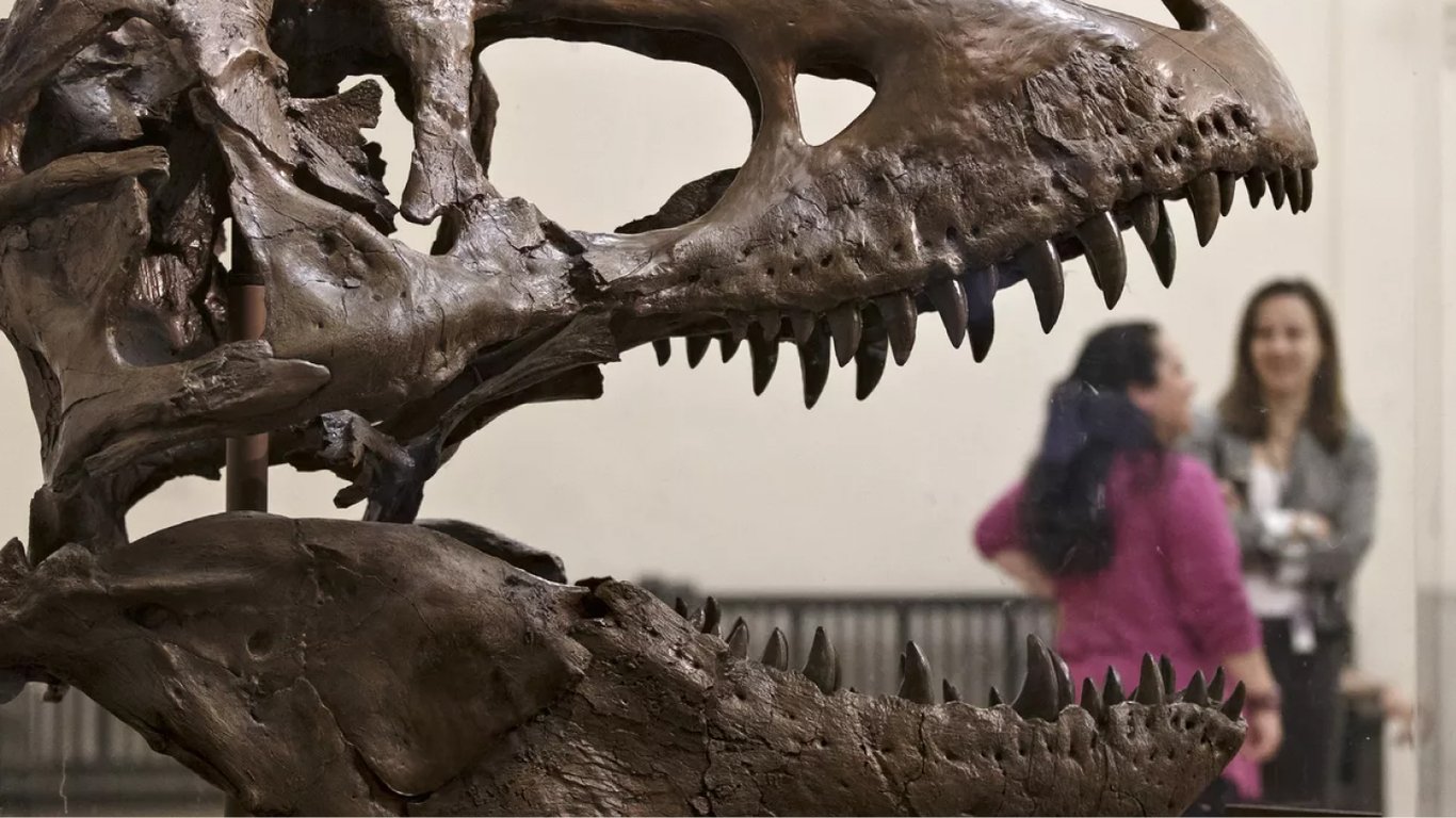 Как динозавры причастны к тому, что люди не способны доживать до 200 лет