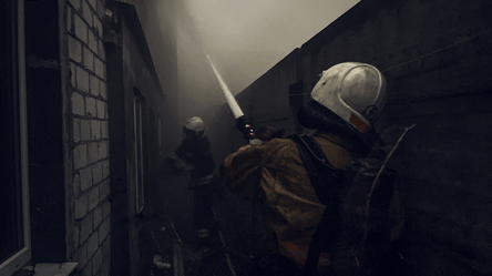 Россияне убили женщину с собакой на Сумщине — последствия атаки - 290x160