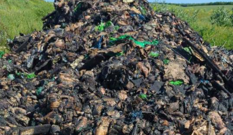 Звалище м'яса