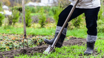 Перекопування городу восени — чи варто і коли краще робити - 285x160