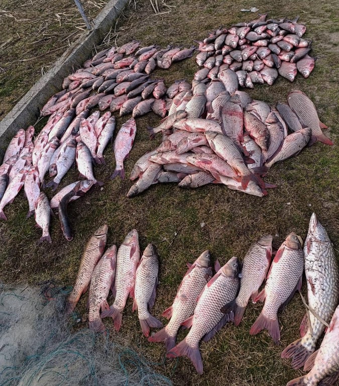 На Одещині затримали браконьєра зі здобиччю на півмільйона - фото 2