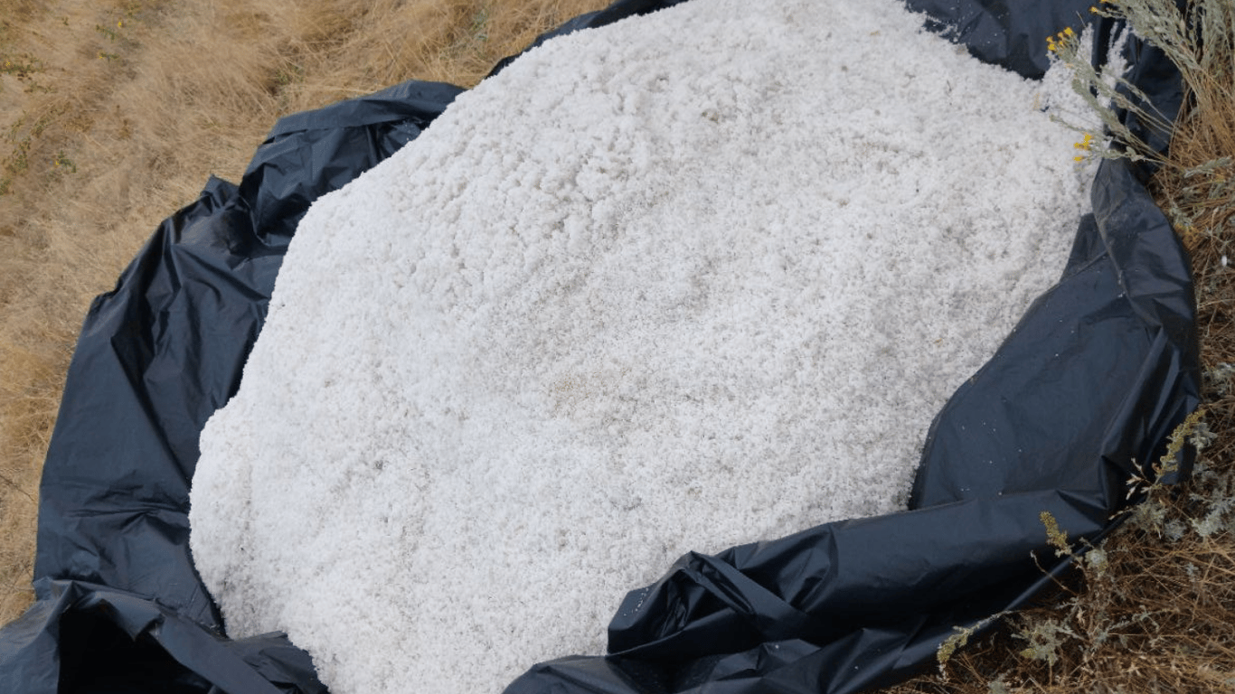 Щоб врятувати Куяльницький лиман одесити збирають сіль — фото - фото 3