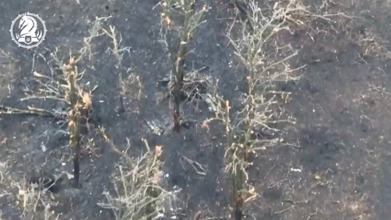 ЗСУ показали блискучі кадри знищення окупантів біля Авдіївки