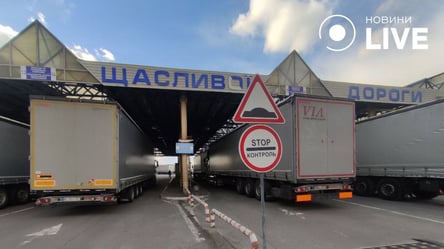 Забастовка польских перевозчиков — в украинском правительстве выступили с заявлением - 285x160