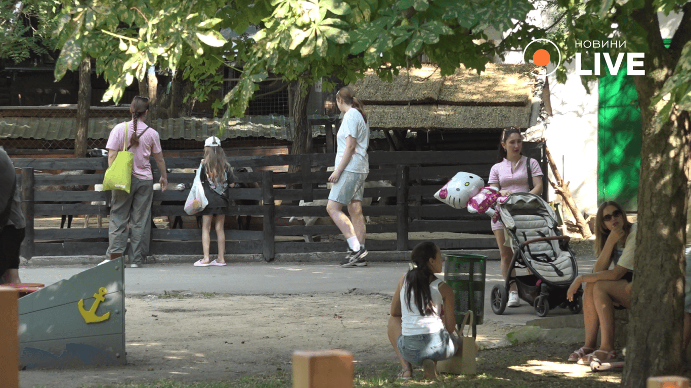 Територія зоопарку. Фото: Новини.LIVE