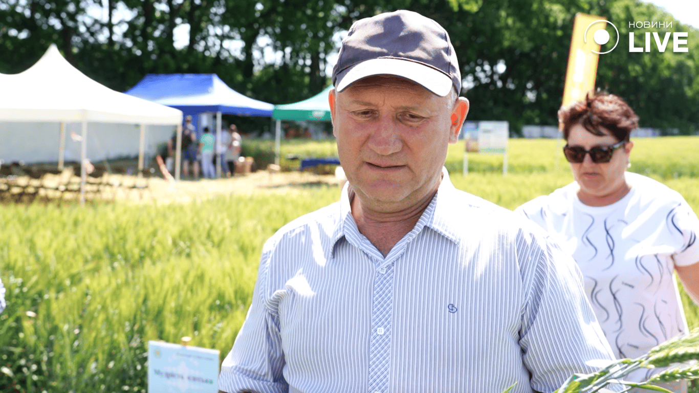 голова фермерського господарства "Цеклевід", Клеванський Василь, про сорти пшениці