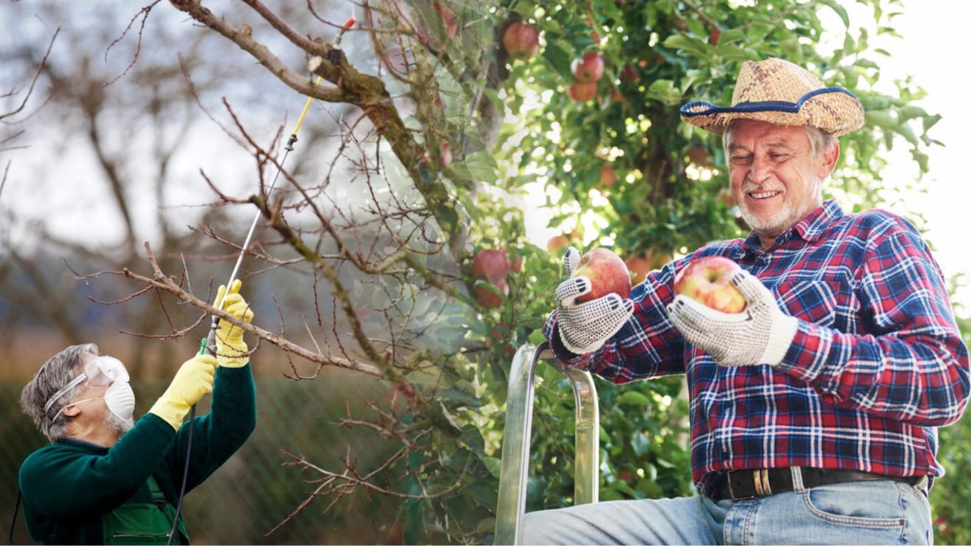 Когда и чем обработать яблони после зимы, чтобы получить качественный урожай — советы