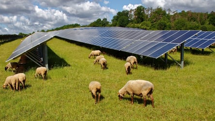 Фермы будущего — где соединили хозяйство и энергетику - 285x160