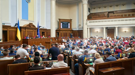 "Мы не на каникулах": нардеп о перерыве в работе Верховной Рады - 304x171