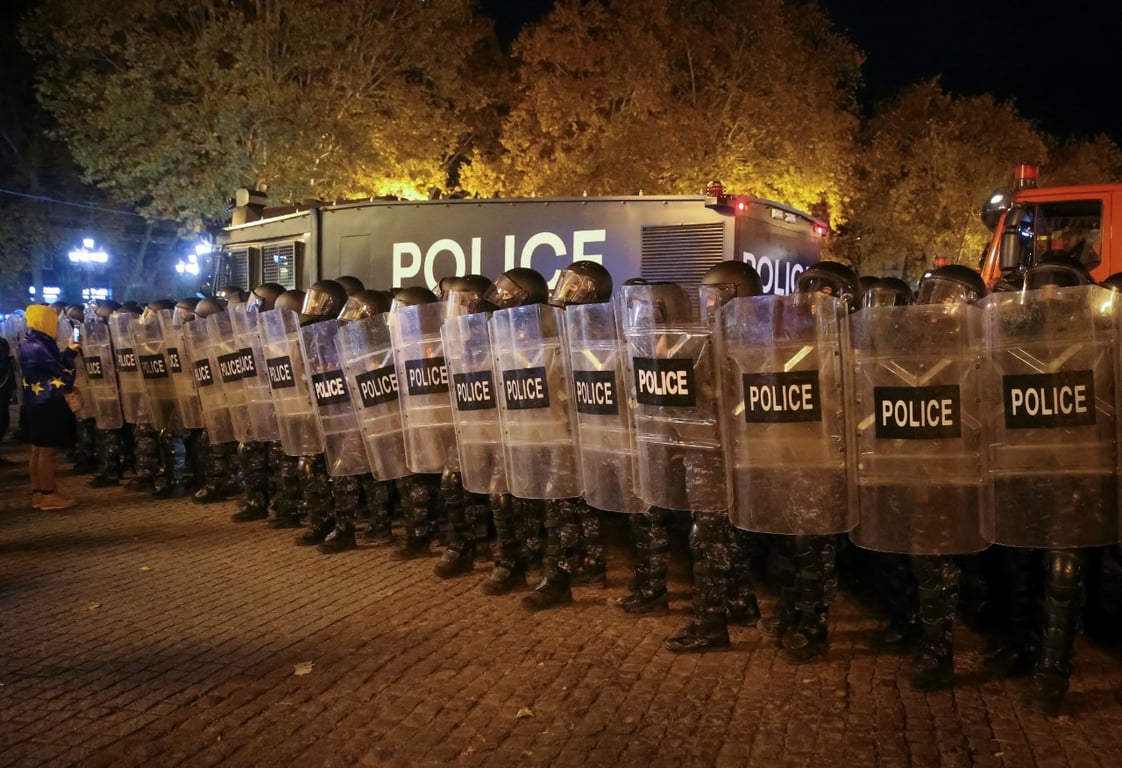 протест у Грузії 28 листопада