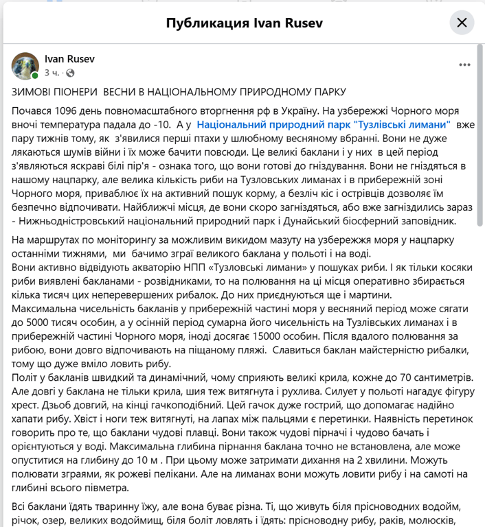 Весняне повернення — на Тузлівських лиманах з’явилися баклани - фото 1
