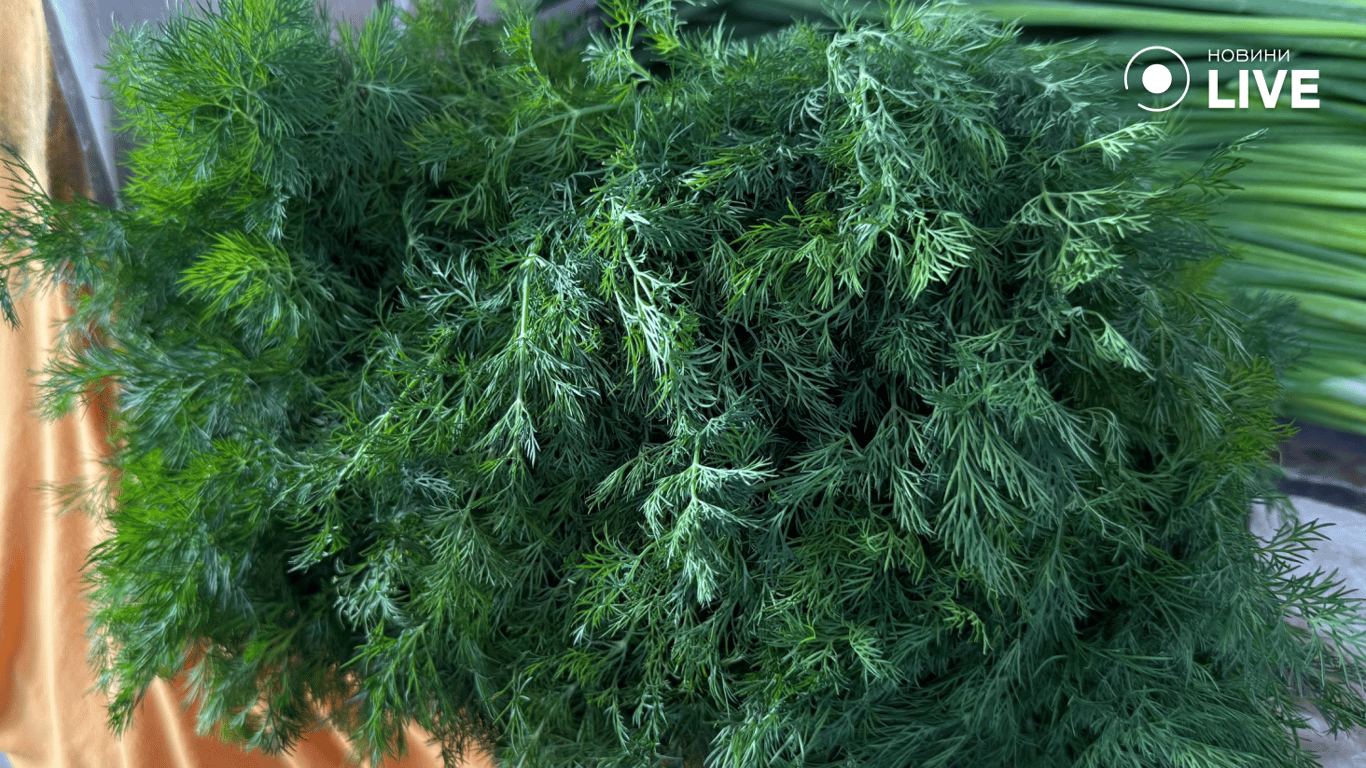 Логістика і морози — як зима впливає на ціни на Черемушках - фото 6