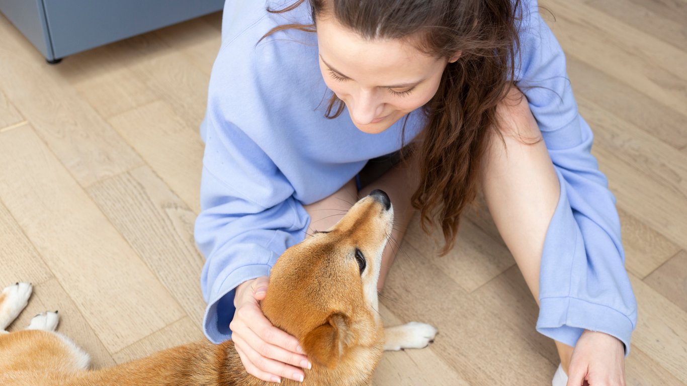 Ученые рассказали, как общение с собаками влияет на здоровье - 64x64