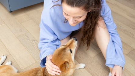 Вчені розповіли, як спілкування з собаками впливає на здоров'я - 285x160