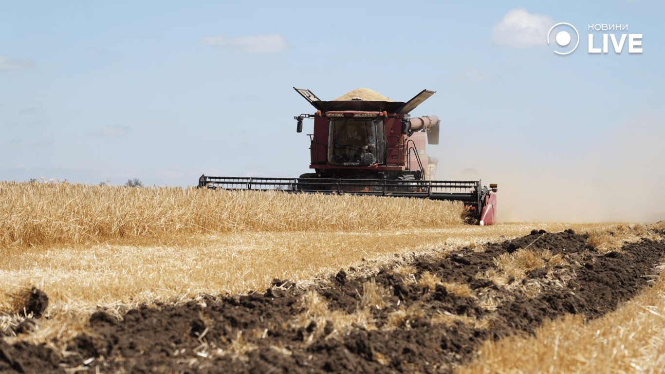 Комбайн працює у полі