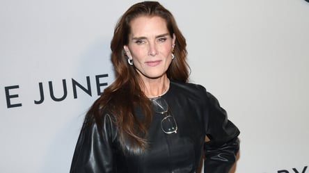 Вінтажний тренд — що незвичайного у будинку Брук Шилдс (фото) - 285x160