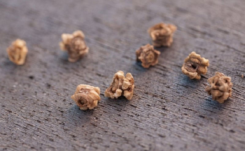 Семена свеклы