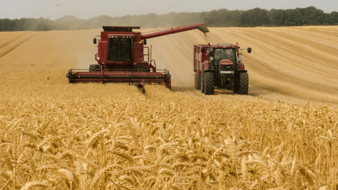 Цены на зерновые в Украине на 18 февраля 2024 года