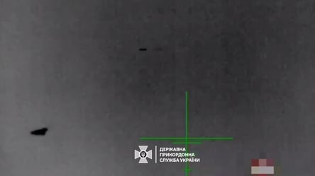 Прикордонники показали, як знищили ворожий шахед в небі над Миколаївщиною - 285x160
