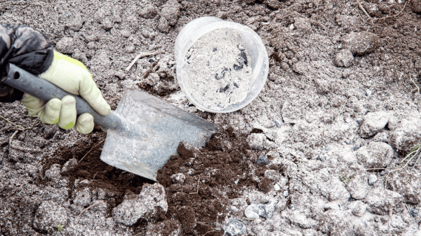 Внесення добрив на город.