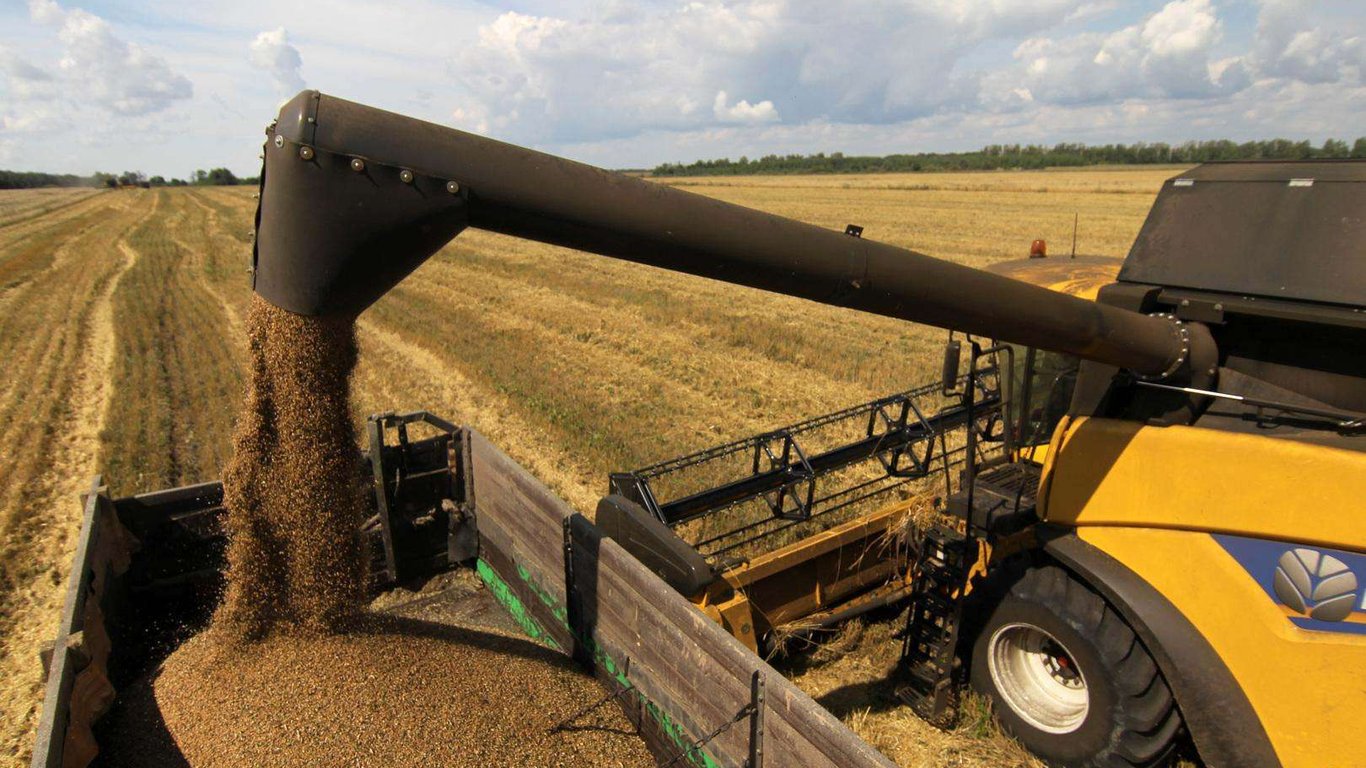 Цены на зерновые в Украине по состоянию на 9 декабря 2023 года