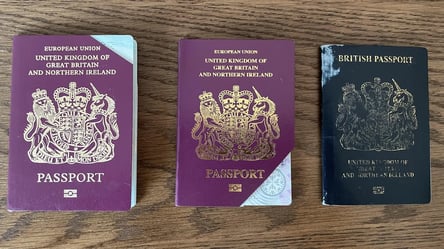 Украинцы в Великобритании — какое обязательное условие для гражданства - 285x160