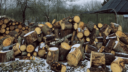 Чи можуть українці заробити гроші, продаючи дрова з власної ділянки - 290x166