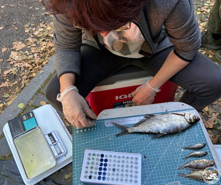 Чорнобильський заповідник