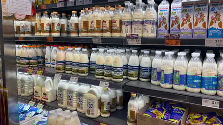 Новые цены на молоко и масло — к чему готовиться с января 2026 - 290x166