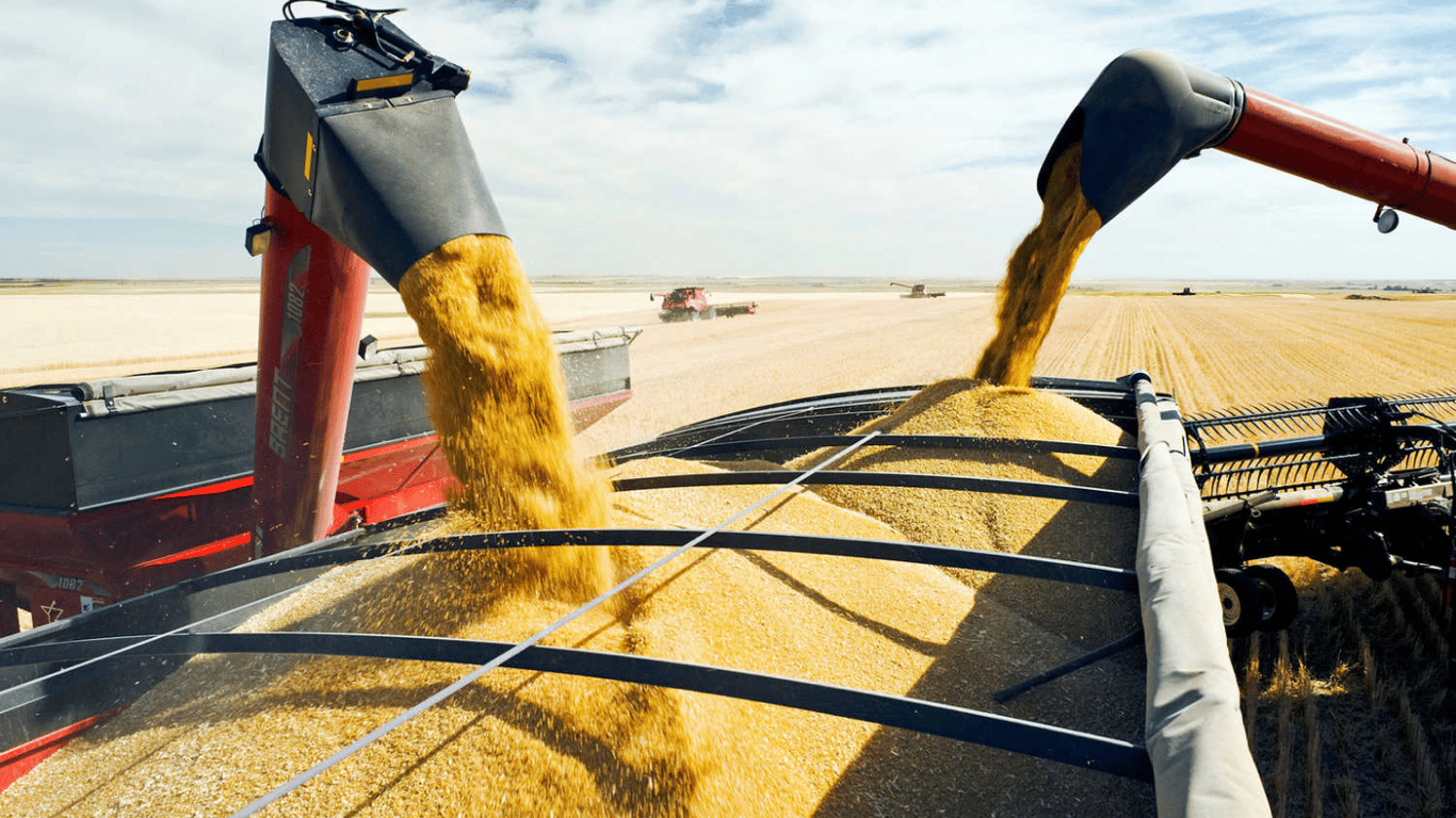 После атак РФ на украинские порты цены на зерно резко выросли