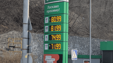 В Киеве на 1 грн поднялись цены на бензин А-95 и дизель на 1 грн - 304x171