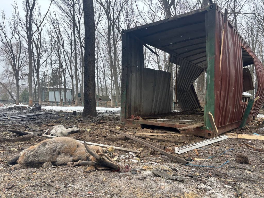 удар по екопарку на Харківщині 3 березня