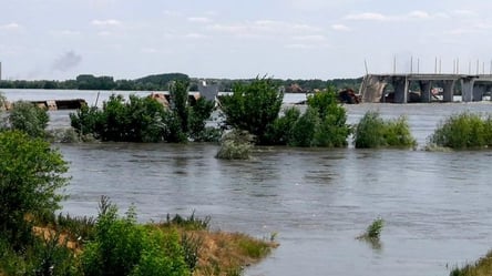 Сколько человек погибло в результате затопления в Херсонской области: цифра - 285x160