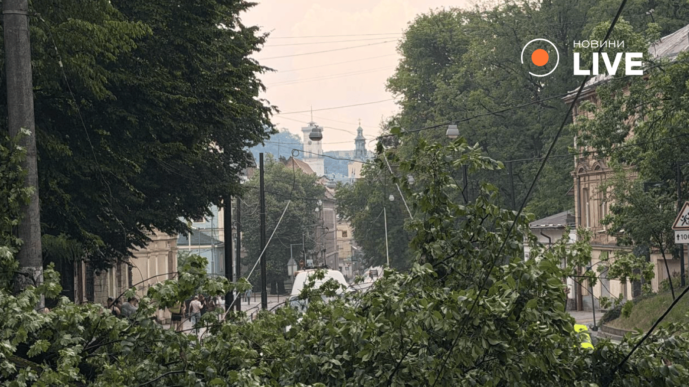 Наслідки негоди у Львові 29 червня 2026 року