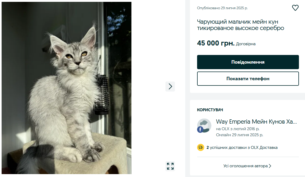 Престижні породи — скільки треба віддати за елітного кота на OLX - фото 4