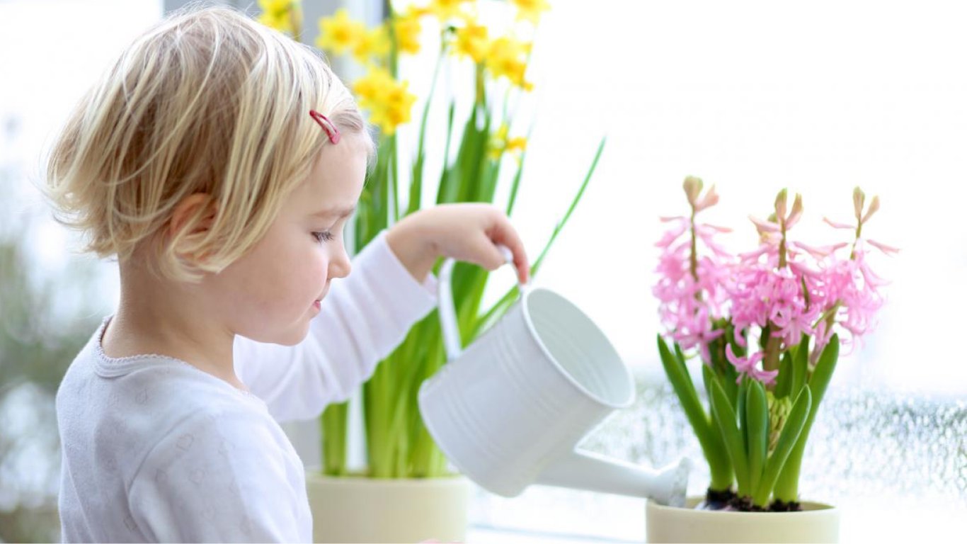 Які кімнатні рослини небезпечно ставити в дитячу — список та поради фахівців