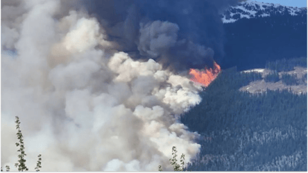В Канаде из-за масштабных лесных пожаров эвакуируют тысячи людей - 285x160