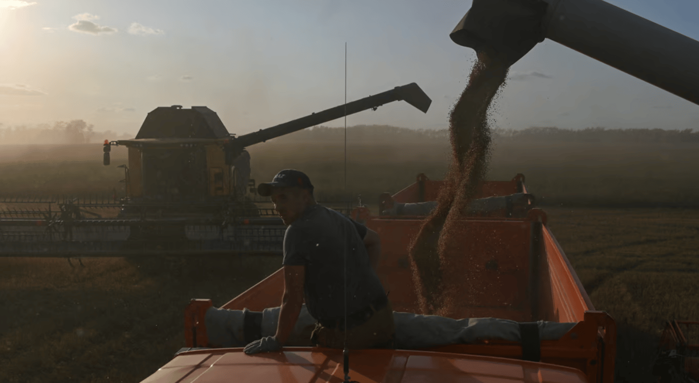 Экспорт зерна