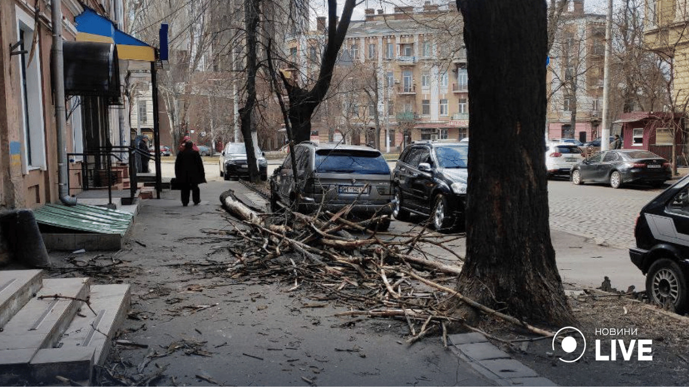 Непогода в Одессе: в центре города ветка упала на авто