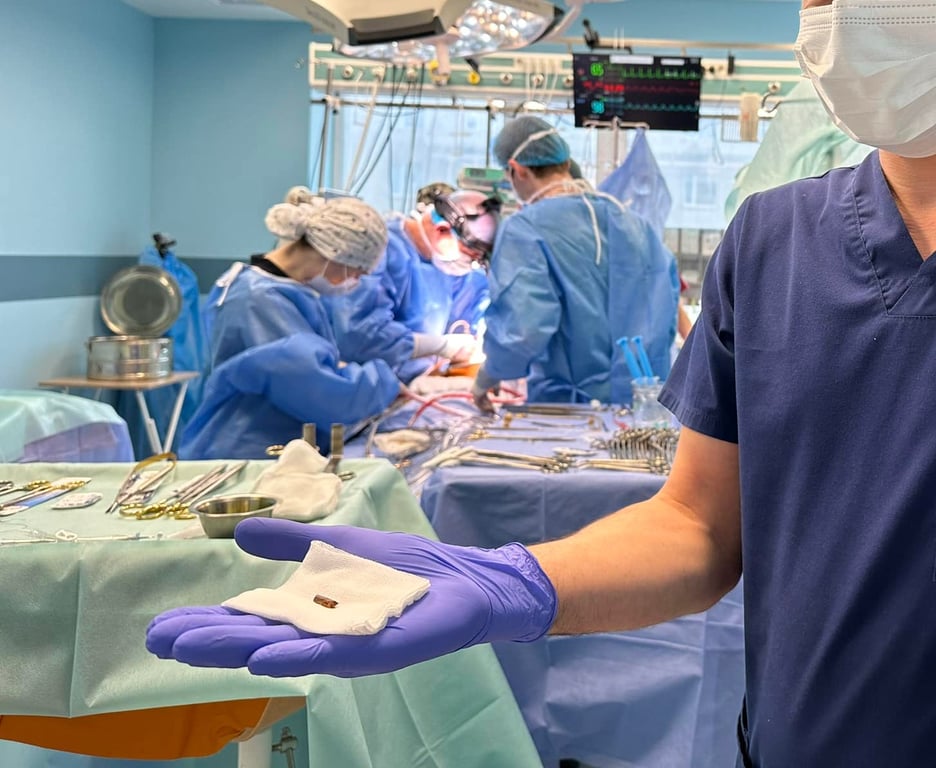 уламок, який витягли з серця воїна